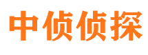 沙坡头市婚外情调查